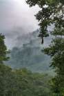 Ecuador-Guango. Cloud in jungle landscape. Art Print